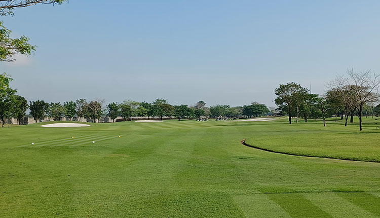 프라데라 베르데 CC