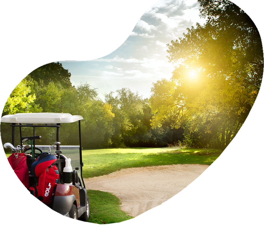 Company Introduction